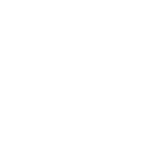 Evry logo hvit