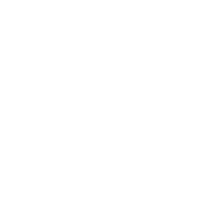 Hvit Radisson blu scandinavia hotel logo
